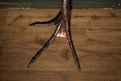 mantziaris_c-150_mag